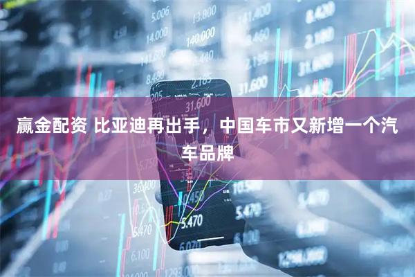 赢金配资 比亚迪再出手，中国车市又新增一个汽车品牌